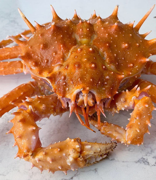 KING CRAB ORANGE ALL YOU NEED TO KNOW 