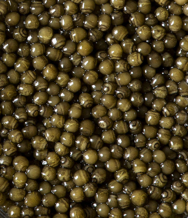 Best Osetra Noir Caviar photos by Regalis Foods - item 2