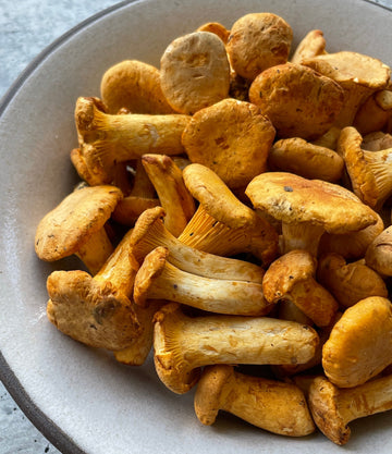 Best Oregon Button Chanterelles (1 lb) photos by Regalis Foods - item 1