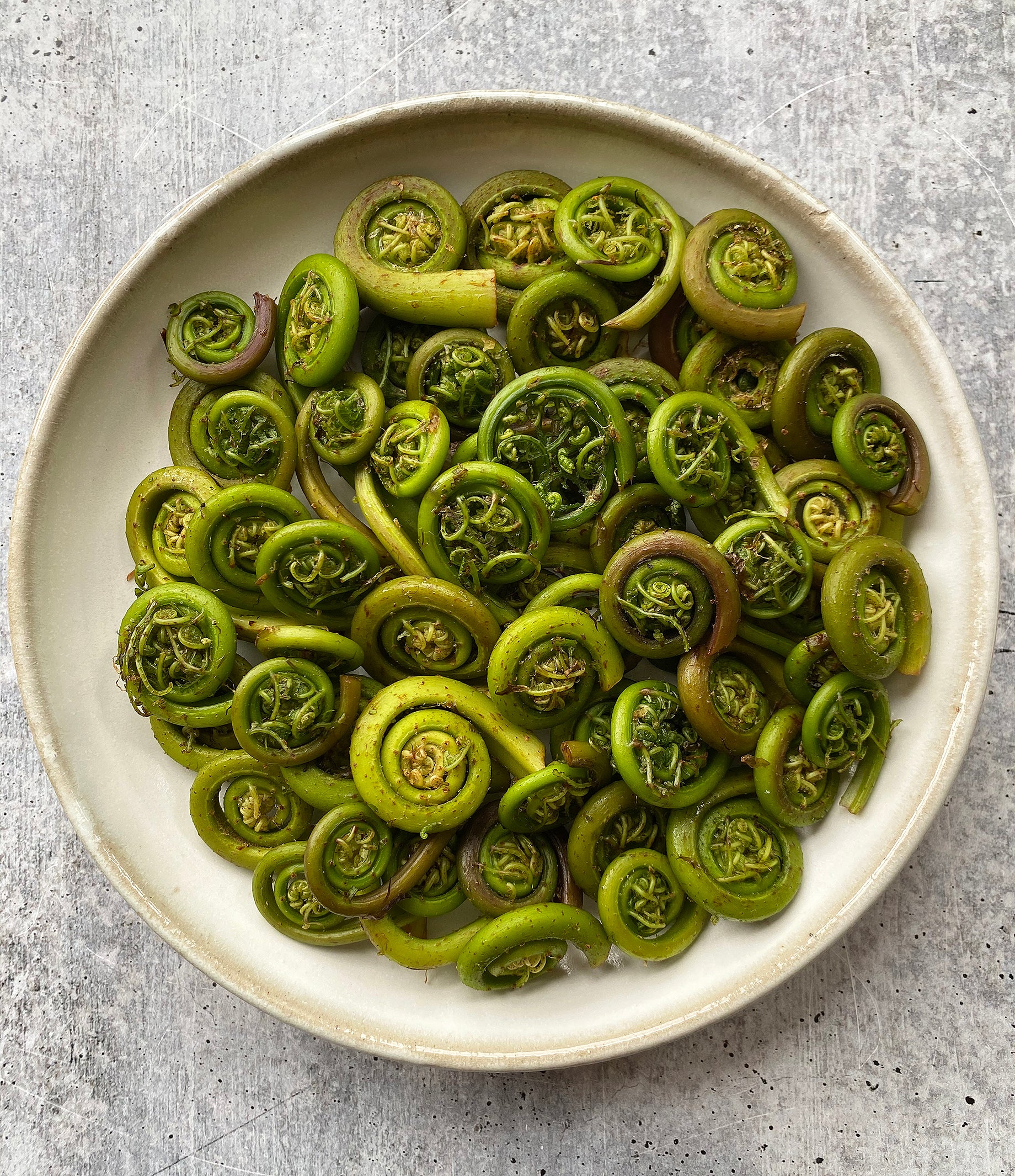 Lady Fiddlehead Ferns, 1 lb. - Buy at Regalis Foods