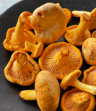 Best Saskatchewan Apricot Chanterelles photos by Regalis Foods - item 1